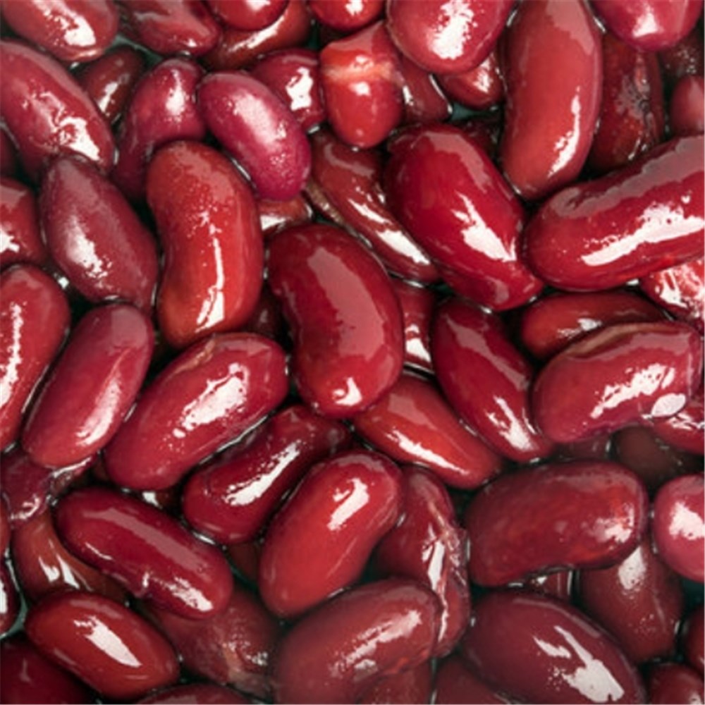 BEANS RED KIDNEY TIN 400GM