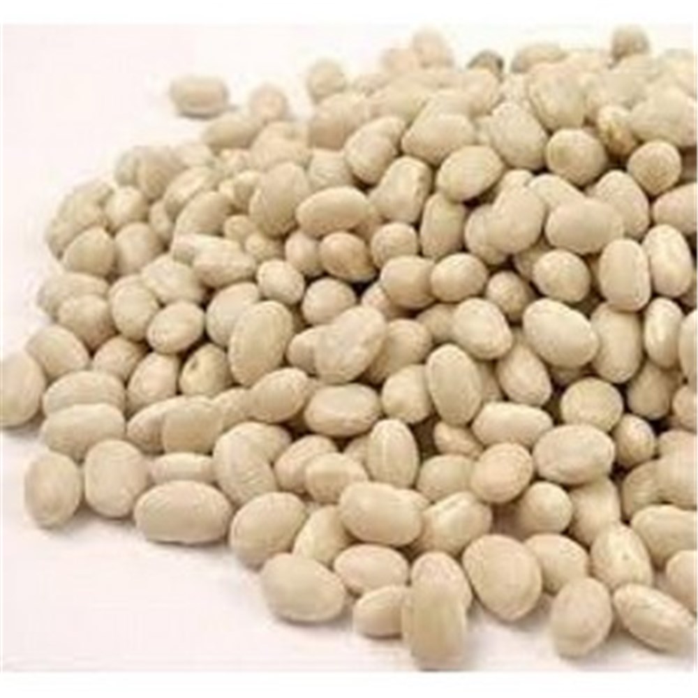 HARICOT NAVY BEANS 25KG (RP)
