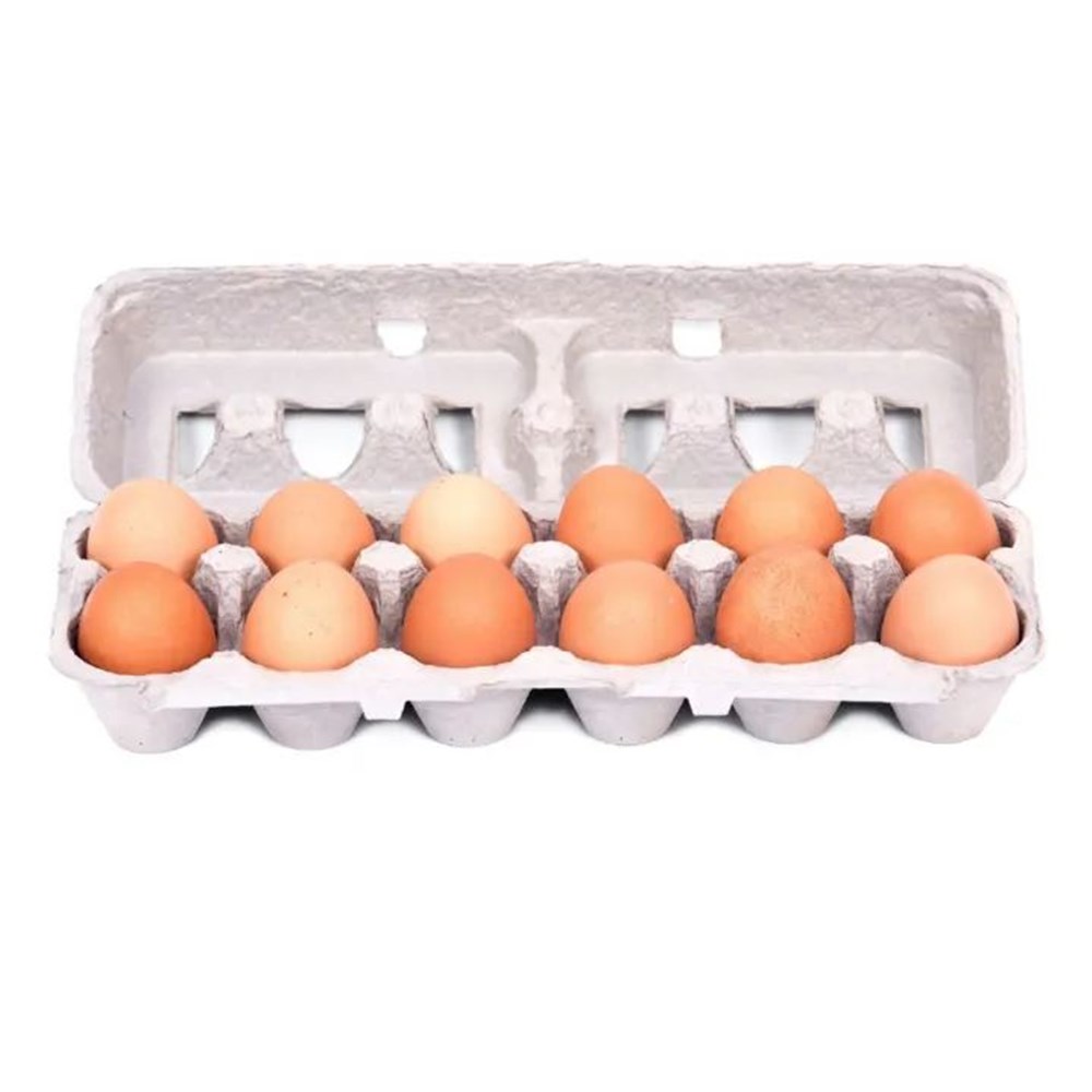 EGGS FREE RANGE 600G 1DOZ