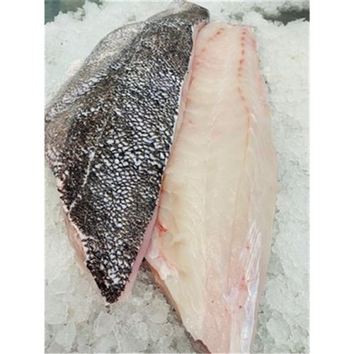 GROUPER FILLETS S/ON BASS NZ LONGLINE 1.5KG + R/W