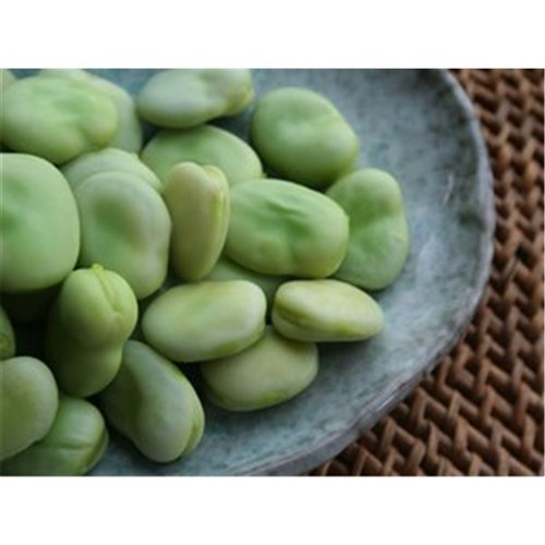 BEANS BROAD FROZEN 300GM