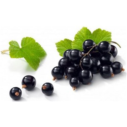 BLACKCURRANTS WHOLE FROZEN 1KG