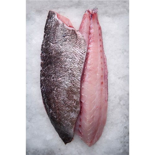 BLUE EYE COD FILLET S/ON 1.1KG+
