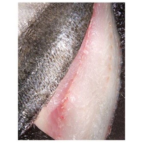 BREAM FILLET S/ON NSW 125GM R/W