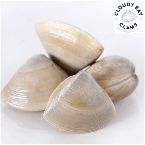 CLAMS CLOUDY BAY DIAMOND 1KG NZ