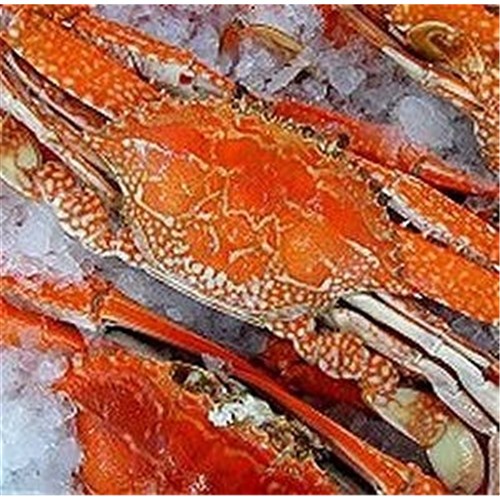 CRAB SPANNER COOKED WHOLE R/W