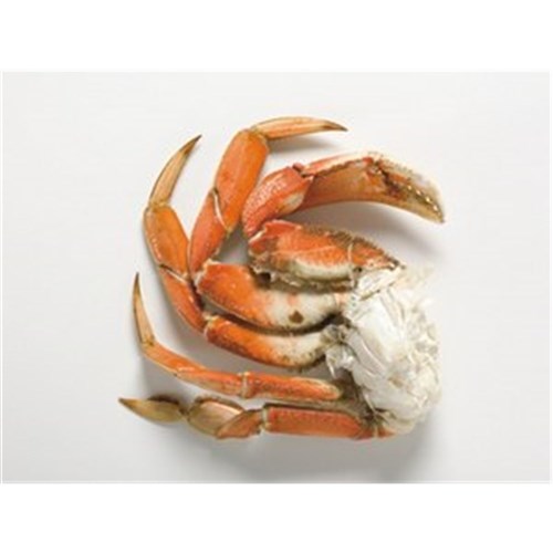 CRABS COOKED 1/2 CLEANED & CUT BLUE SWIM R/W QLD