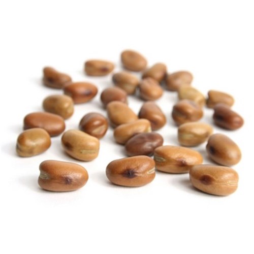BEANS FAVA SPLIT DRY 25KG (RP)