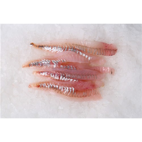 GURNARD FILLETS S/LESS N.Z LINE-CAUGHT FRESH
