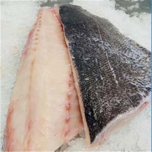 HAPUKA FILLETS S/ON NZ LINE CAUGHT 600GM R/W