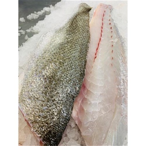 JEWFISH FILLETS 800GM-1KG S/ON LARGE R/W