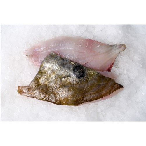 JOHN DORY FILLET S/ON LARGE NZ 250GM + R/W