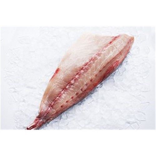 KINGFISH FILLET S/OFF SASHIMI GRADE 1KG S.A FARMED