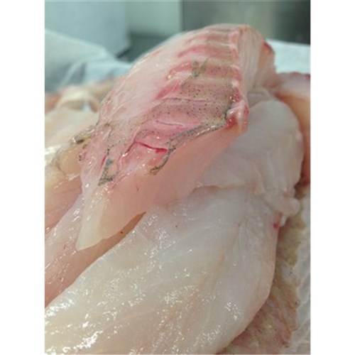 LATCHET FILLETS S/LESS B/LESS R/W