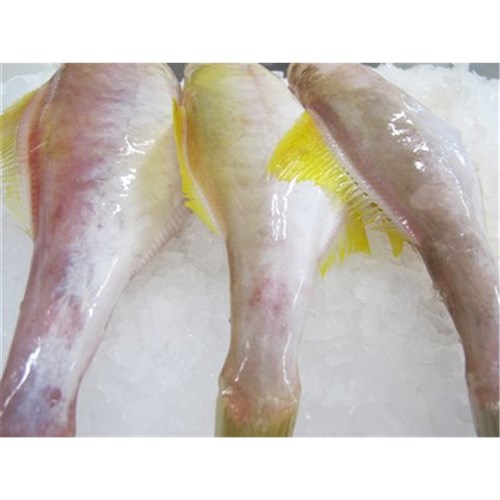 LEATHER JACKET WHOLE SA PLATE 300GM + R/W