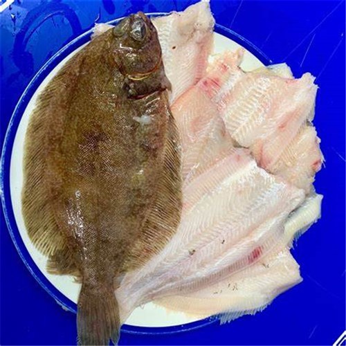LEMON SOLE WHOLE GUTTED FROZEN 10KG