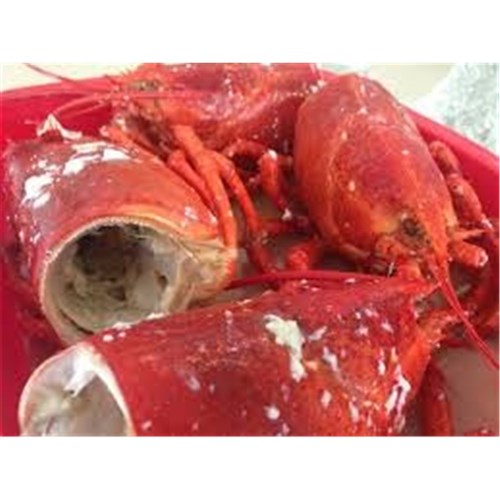 LOBSTER HEADS RAW SHELL 12KG