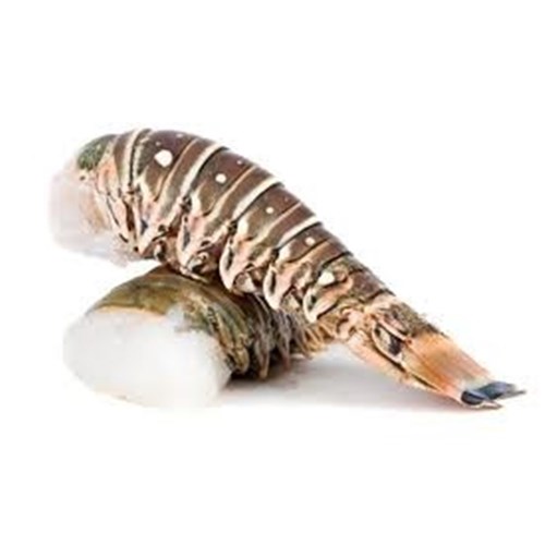 LOBSTER TAILS RAW 4OZ W.A