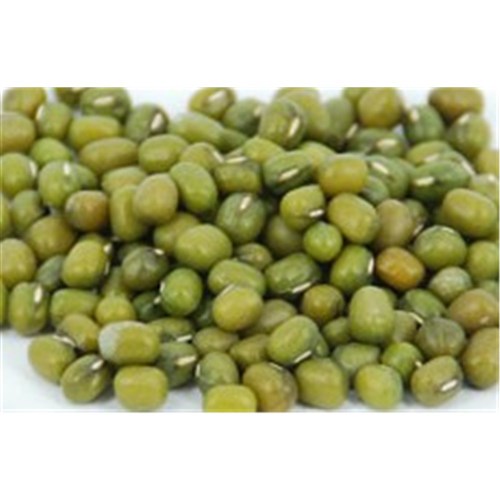 BEANS MUNG DRY 1KG