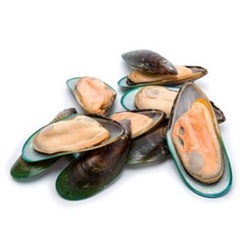 MUSSELS GREEN HALF SHELL NZ 1KG