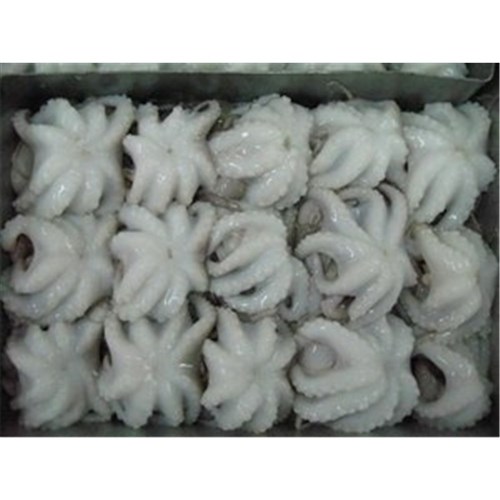 OCTOPUS FROZEN BABY 16/25 IQF 900GM
