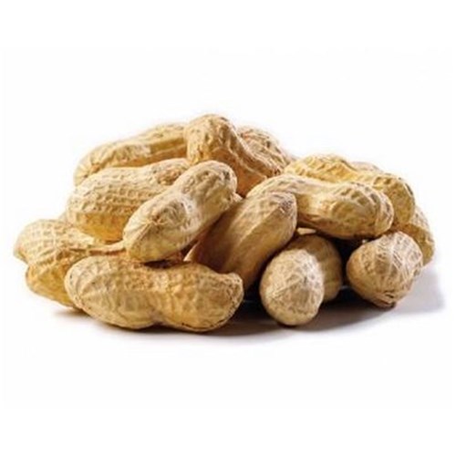 PEANUTS ROASTED IN SHELL 500GM