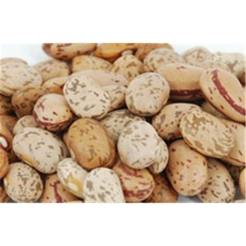 BEANS PINTO DRY 1KG