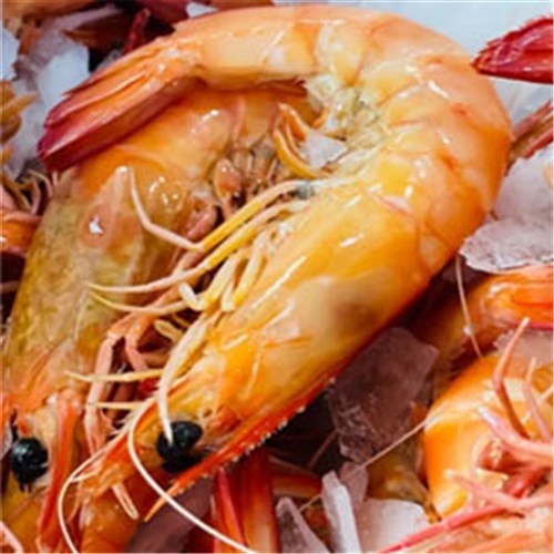 PRAWNS OCEAN KINGS COOKED U10 YAMBA R/W