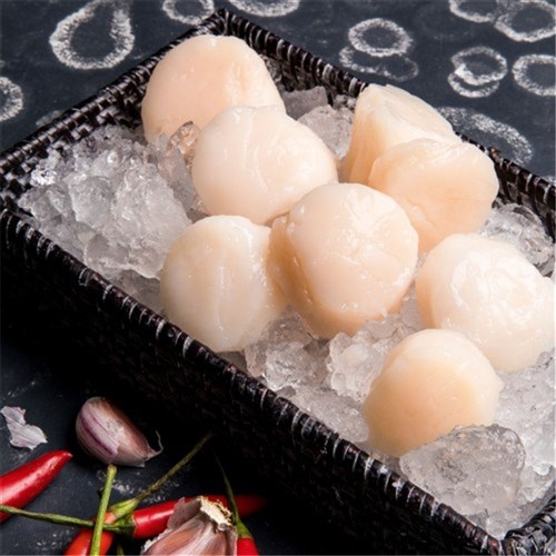 SCALLOP 10/20 USA R/OFF 1KG