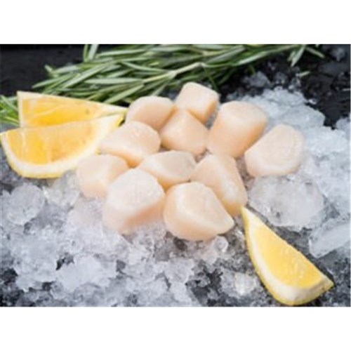 SCALLOP MEAT 20/30 AUST W.A ROE OFF KG