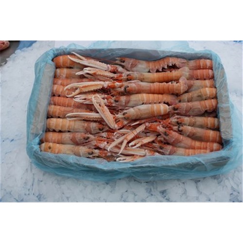 SCAMPI JUMBO WHOLE W.A 6-8PP/KG NO.1 1KG