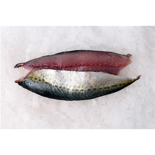 SLIMY BLUE MACKEREL FILLET S/ON NSW 80GM + R/W