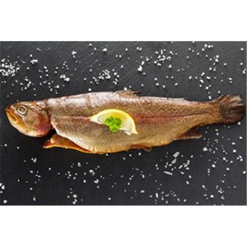 SMOKED RAINBOW TROUT WHOLE 400GM AVG R/W