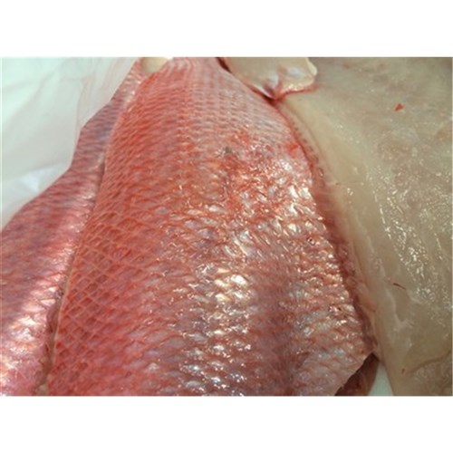 SNAPPER FILLETS RED S/ON SOUTH AUST 400GM + R/W