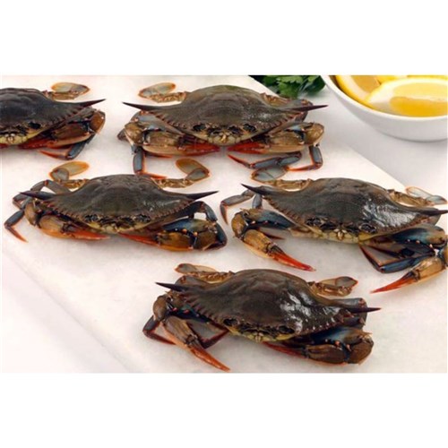 SOFT SHELL CRAB 90/120 1KG