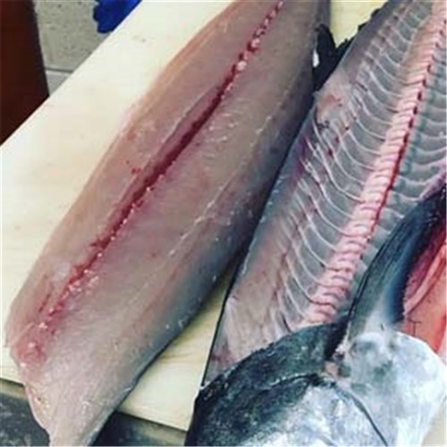 SPANISH MACKEREL FILLET S/ON COFFS 2KG + R/W