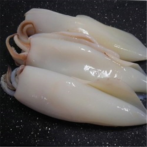 SQUID WHOLE CLEANED LOLIGO R/W