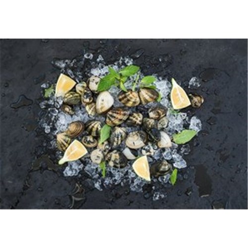 VONGOLE LIVE PORT LINCOLN S.A