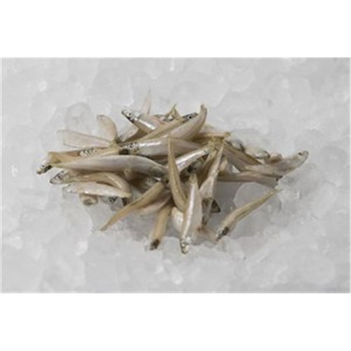 WHITE BAIT W.A SANDY BAY 1KG