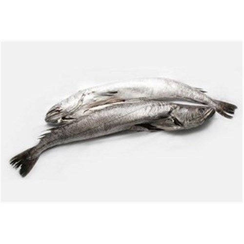 HAKE WHOLE NZ 6KG + R/W