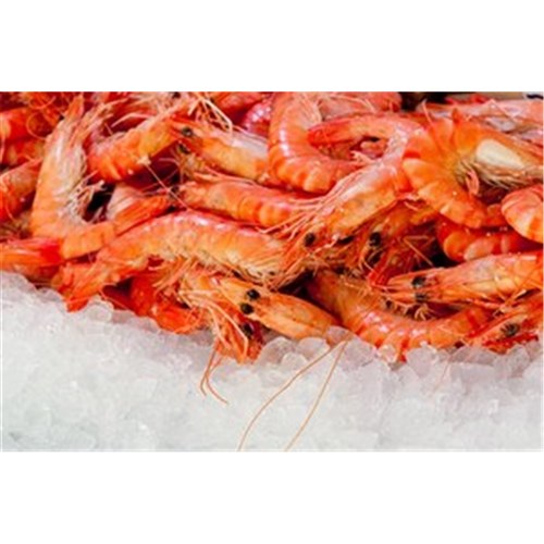PRAWNS TIGER COOKED U10 3KG 
