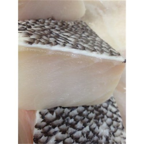JEWFISH PC S/ON 160GM EACH BLOCK CUT QLD