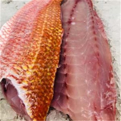 SNAPPER RED PC S/ON 200GM EACH S/AUST