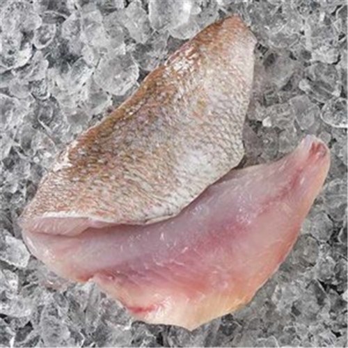 SNAPPER FILLETS PLATE 80-100GM R/W