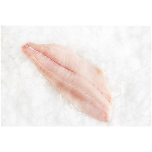 BLUE EYE COD FILLET S/OFF 1.1KG + R/W NZ