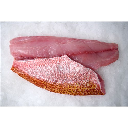 SNAPPER FLAME TAIL FILLETS 800GM + R/W