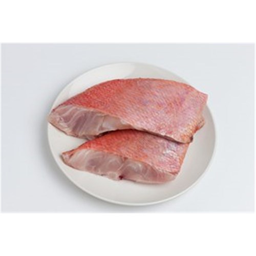 SNAPPER GOLDBAND PC S/ON 130GM R/W