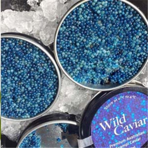 CAVIAR WILD SCAMPI 25GM