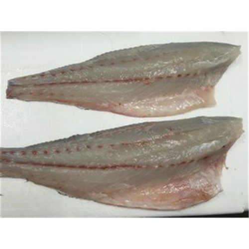 MULLOWAY FILLETS S/ON QLD WILD 1.5KG + R/W