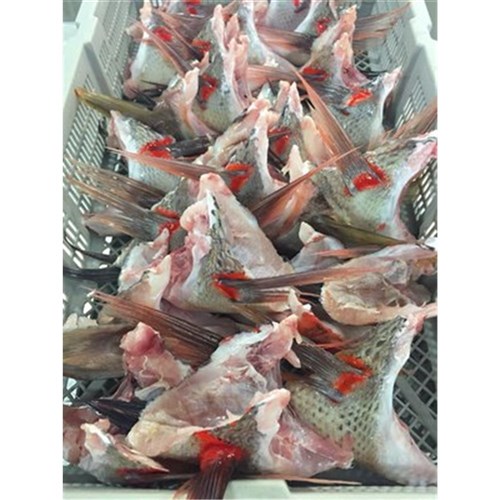 BARRAMUNDI TAIL S/ON 110GM R/W NT